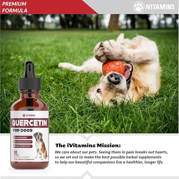 Quercetin for Dogs | Dog Allergy Relief | Quercetin for Dogs Allergies | Dog Allergy | Quercetin | Dog Allergy Support | Quercetin Dog | Dog Allergies | Quercetin Supplements | Bacon Flavor (1 Pack)