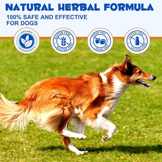Dog Joint Aid & Relief Supplement - w/Chondroitin and Glucosamine HCl - Reliving Joint Pain & Reducing Inflammation for Senior Dogs, Active Adults, or Puppies