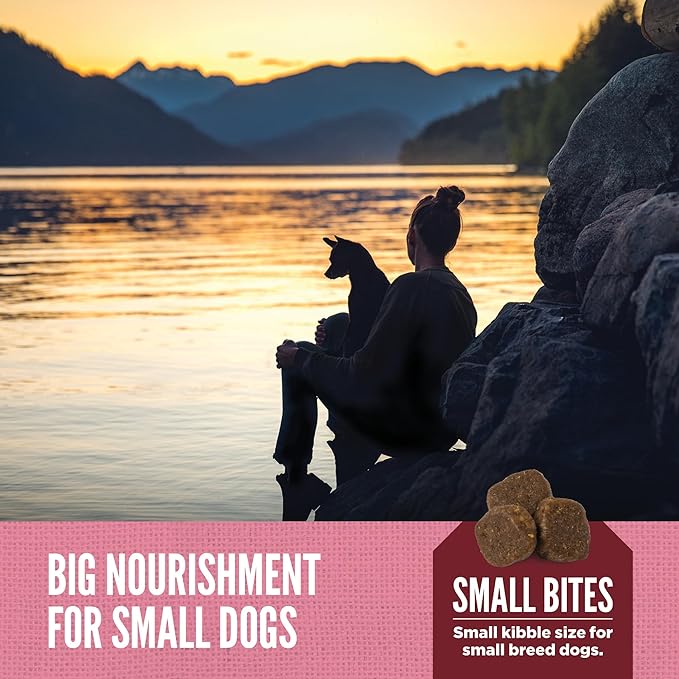 ORIJEN AMAZING GRAINS™ Small Breed Dry Dog Food Recipe, 4lb