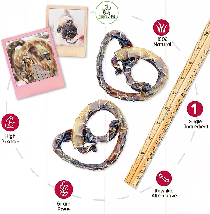 Nature Gnaws - Pork Bully Stick Pretzels for Dogs - Premium Natural Pork Dental Chews - Jerky Treats for Puppies and Small Breeds - Rawhide Free