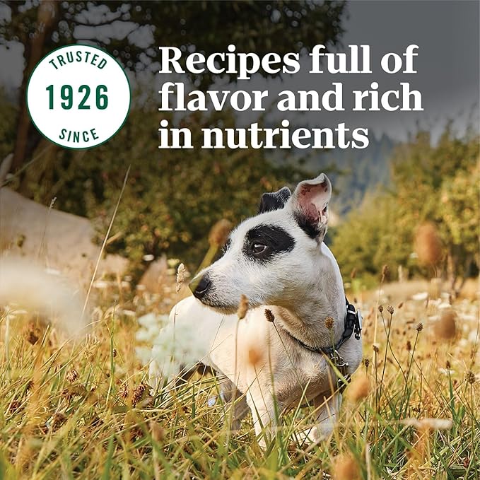 NUTRO NATURAL CHOICE Small Breed Senior Dry Dog Food, Chicken & Brown Rice Recipe Dog Kibble, 5 lb. Bag
