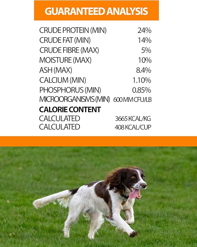 Pulsar Whole Grain, Non GMO, Meat Dense All Life Stage Dry Dog Food 8.8 lb Bag