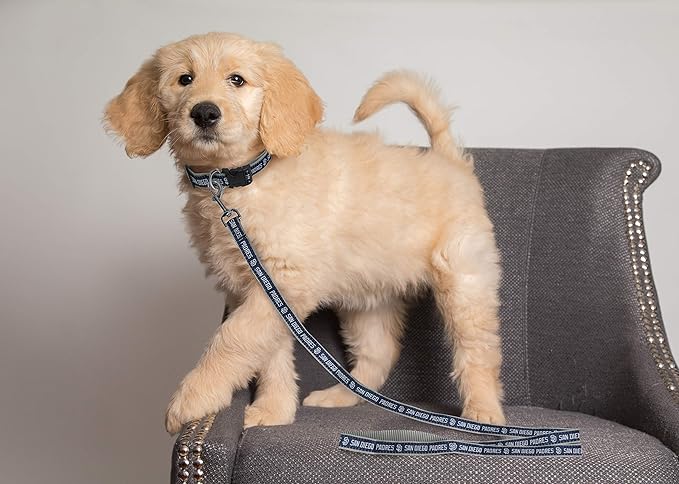 MLB PET Leash, Small, San Diego Padres Dog Leash, Baseball Team Leash for Dogs & Cats. A Shiny & Colorful Dog & Cat Leash with Emboridered Team Name/Logo Licensed by the MLB