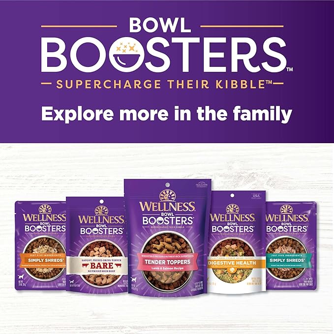 Wellness CORE Bare Bowl Boosters For Dogs, Grain-Free Freeze-Dried Food Mixer Or Topper, Made with Natural Ingredients (Turkey, 4-Ounce Bag)
