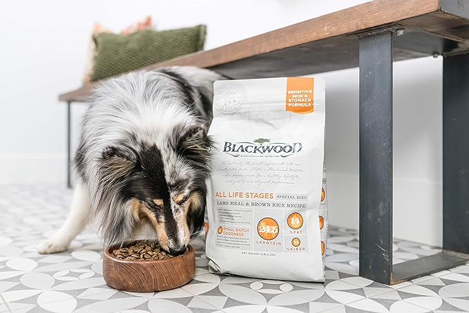 Blackwood Special Diet All Life Stages Dry Dog Food, 15Lb., Salmon Meal & Brown Rice Recipe, Sensitive Skin and Stomach, Grain Free Dog Food