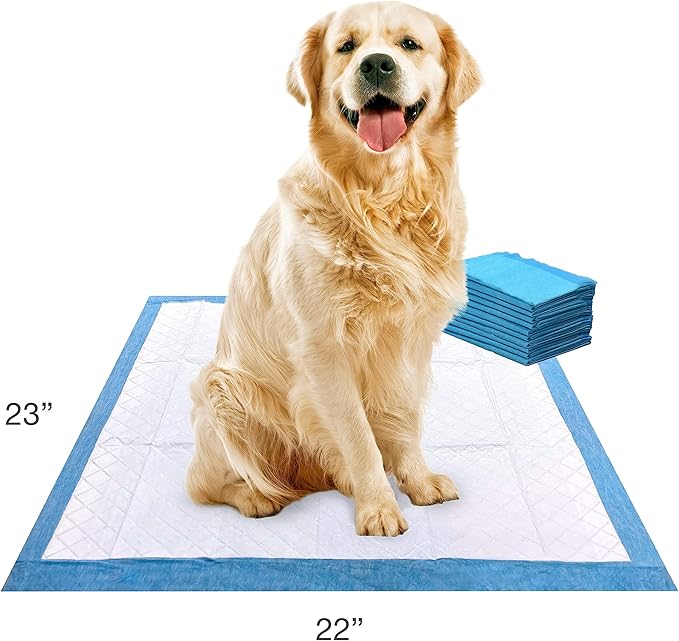 Four Paws Wee-Wee Superior Performance Pee Pads for Dogs of All Sizes, Leak-Proof Floor Protection Dog & Puppy Quilted Potty Training Pads, Unscented, 22" x 23" (10 Count)