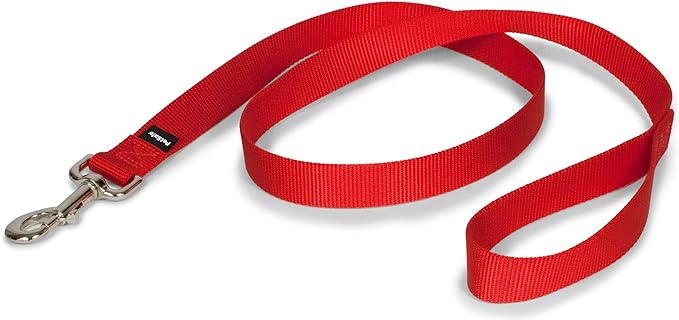 PetSafe Nylon Dog Leash – Strong, Durable, Traditional Style Leash with Easy to Use Bolt Snap – 1" x 4', Red