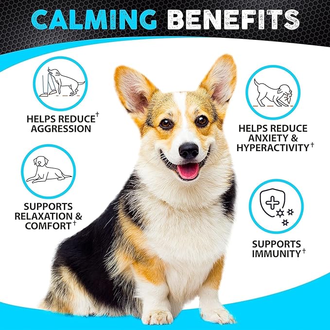FURALAND Hemp Calming Chews for Dogs - Dog Calming Chews - Anxiety Relief Treats - Dog Calming Treats - Hemp Oil - Sleep Calming Aid - Advanced Calming Health Joint Support Supplement - Made in USA