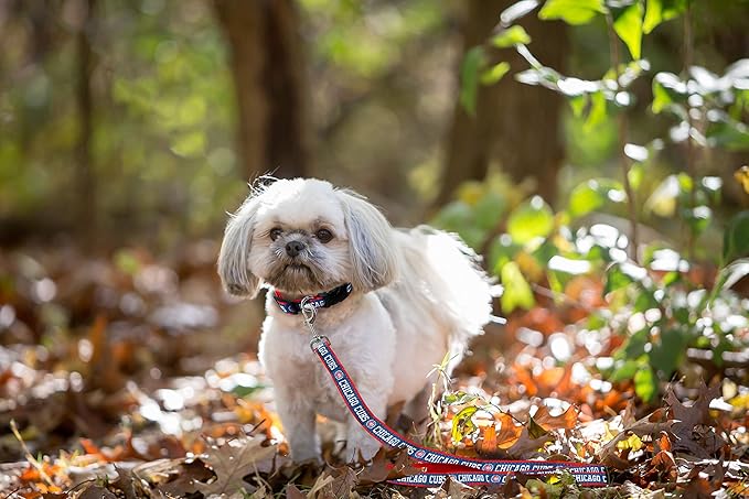 MLB PET Leash, Small, Chicago Cubs Dog Leash, Baseball Team Leash for Dogs & Cats. A Shiny & Colorful Dog & Cat Leash with Emboridered Team Name/Logo Licensed by the MLB
