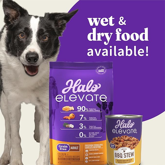 Halo Elevate Wet Dog Food, Grain Free, Smoky BBQ Glazed Chicken Stew with White Potatoes & Carrots, 12.7oz (Pack of 6)