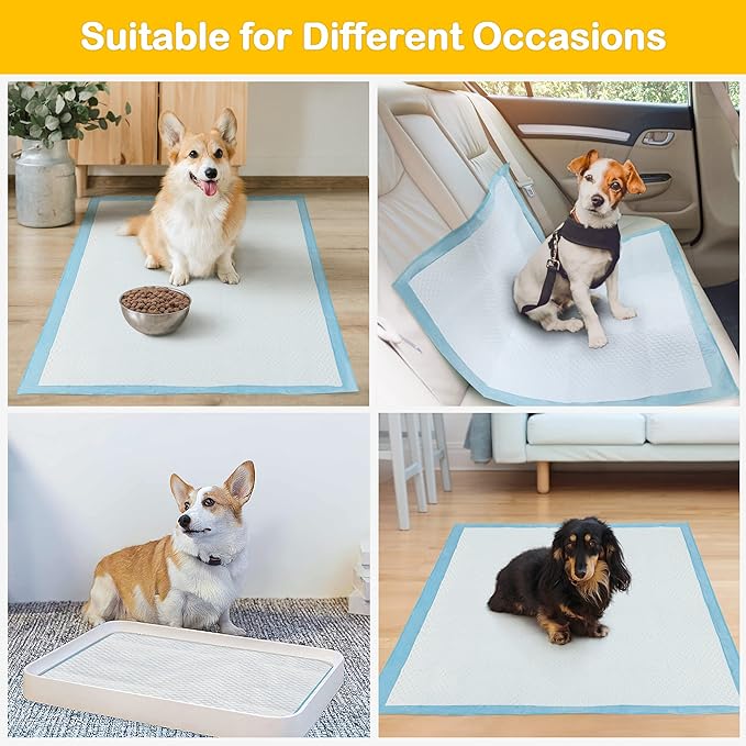 Sted Dog Pee Pads Extra Large 28"x34", Thicken 6 Layers Pee Pads for Dogs, Quickly Absorbs & Leak-Proof Dog Pads, Disposable Puppy Pads Pet Training Pads Potty Pads for Dogs, Doggie Pee Pads, 60Ct