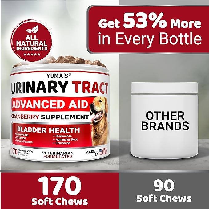 Dog UTI Treatment - 170 Treats - Cranberry Supplement for Dogs - Bladder Control for Dogs - Dog Urinary Tract Infection Treatment - UTI Medicine for Dogs Multivitamin - Dog Vitamins and Supplements