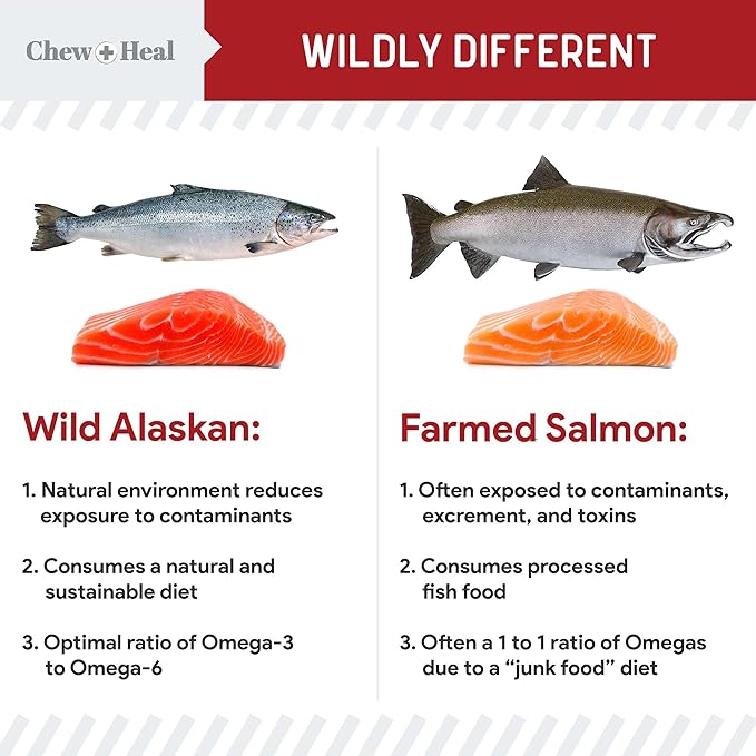 Pure Wild Alaskan Salmon Oil for Dogs - 16 oz. Beef Flavored Salmon Oil - Pump Cap Bottle - Contains Omega-3 and 6, EPA, and DHA for Healthy Skin and Coat - Toxin Free