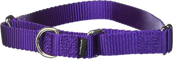 PetSafe Martingale Collar, 3/4" Medium, Deep Purple