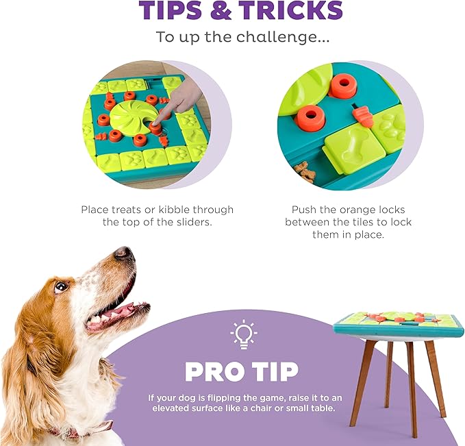 Outward Hound Nina Ottosson Multipuzzle Dog Puzzle Interactive Treat Puzzle Dog Enrichment Dog Toy, Level 4 Expert Dog Puzzle, Blue