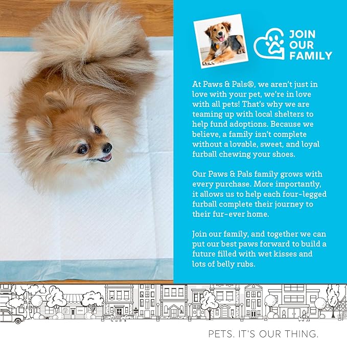 Paws & Pals Leak-Proof Potty Training Pee Pads for Dogs and Puppies, Large - 22x22 Disposable, 150 Count