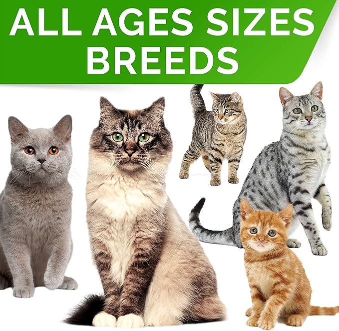 Probiotics Powder for Cats and Dogs - All Natural Supplement - Digestive Enzymes + Prebiotics - Relieves Diarrhea, Upset Stomach, Gas, Constipation, Litter Box Smell, Skin Allergy -4oz (Pack of 2)