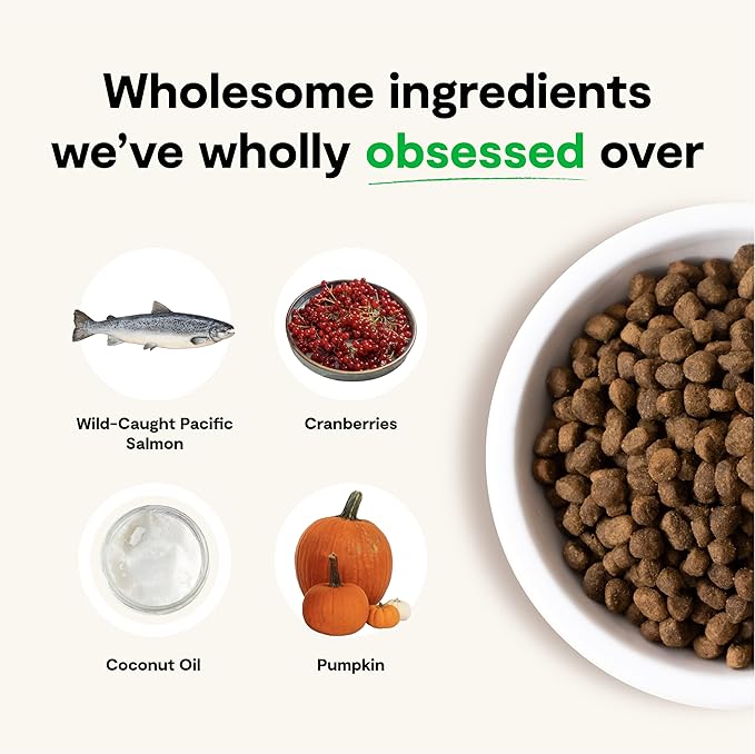Open Farm Wild-Caught Salmon Grain-Free Dry Dog Food, Fresh Pacific Salmon Recipe with Non-GMO Superfoods and No Artificial Flavors or Preservatives, 4 lbs