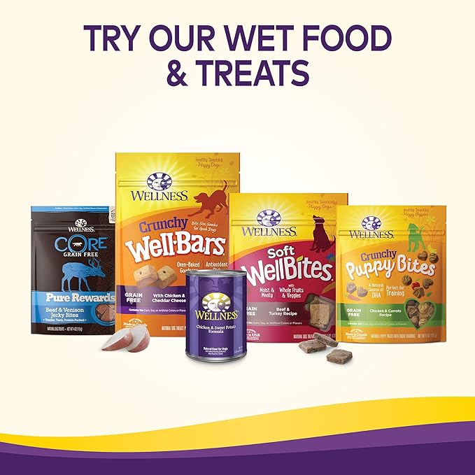 Wellness Complete Health Grain-Free Dry Dog Food, Natural Ingredients, Made in USA with Real Meat, For All Lifestages (Chicken, 4-Pound Bag)