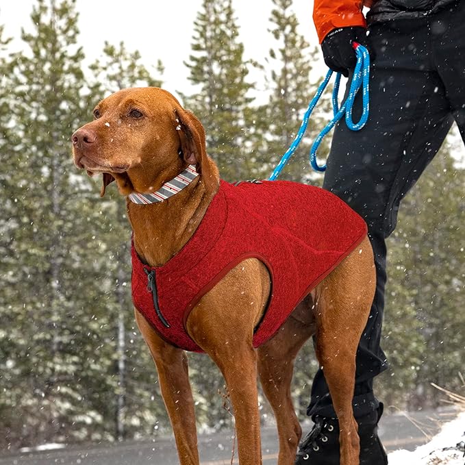Kurgo Core Dog Sweater, Knit Dog Sweater with Fleece Lining, Cold Weather Pet Jacket, Zipper Opening for Harness, Adjustable Neck, Year-Round Sweater for Medium Dogs (Red, Medium)