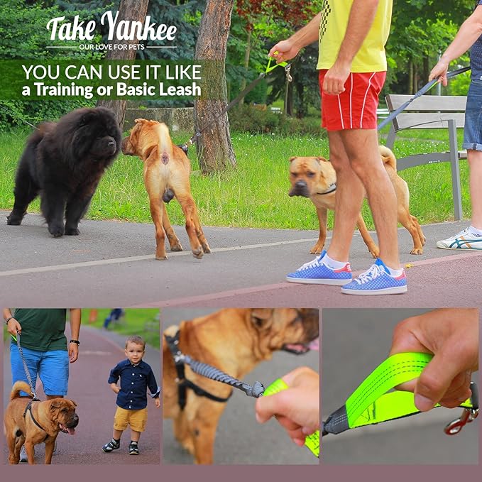 Hands Free Dog Leash for Running +Training Leash Walking & Double Dog Leash Coupler Set, Fits 2 Dogs - Bungee Leash & Reflective Leash - Adjustable Waist Belt & Retractable Leashes Take Yankee