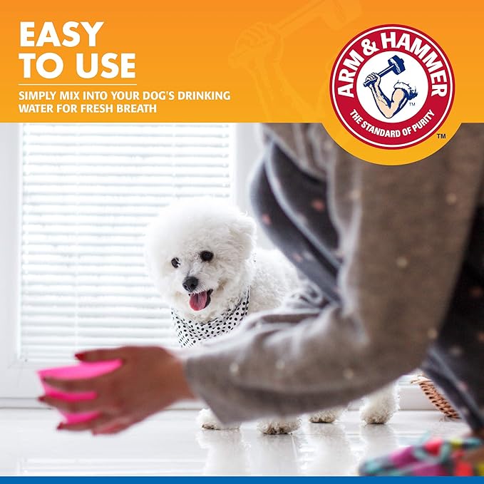 Arm & Hammer for Pets Dental Water Additive for Dogs, Tartar Control | Dog Dental Care Reduces Plaque & Tartar Buildup Without Brushing | 16 Fl Oz (Pack of 1), Odorless and Flavorless