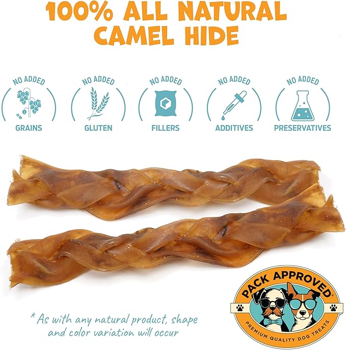 6" Braided Camel Sticks - Long Lasting Dog Chews for Aggressive Chewers - Rawhide Alternative, Grain free, One Ingredient Dog Treats - Great for Dog Dental Care - (10 pack)