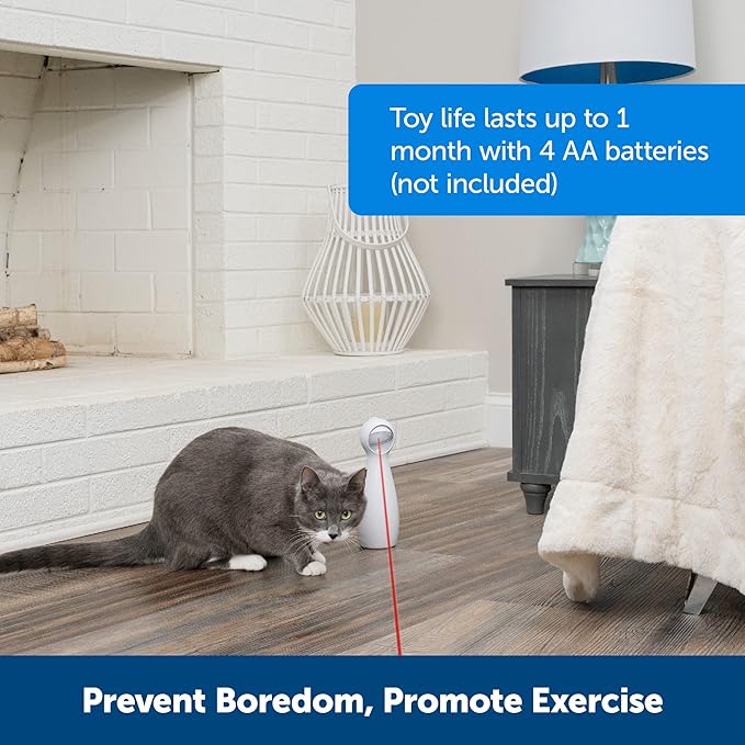 PetSafe Bolt - Automatic Cat Laser Toy - Interactive - Relieves Anxiety & Boredom - Bug-Like Laser Pattern Keeps Them Entertained - Hands-Free Play - Auto Shut Off Prevents Overstimulation