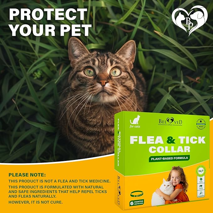 Natural Flea & Tick Collar for Cats - 12 Months Control of Best Prevention & Safe Treatment - Anti Fleas and Ticks Essential Oil Repellent (1 pack)