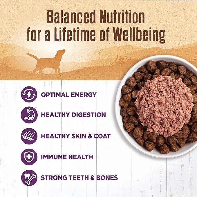 Wellness Natural Pet Food 95% Chicken Natural Wet Grain Free Canned Dog Food, 13.2-Ounce Can (Pack of 12)