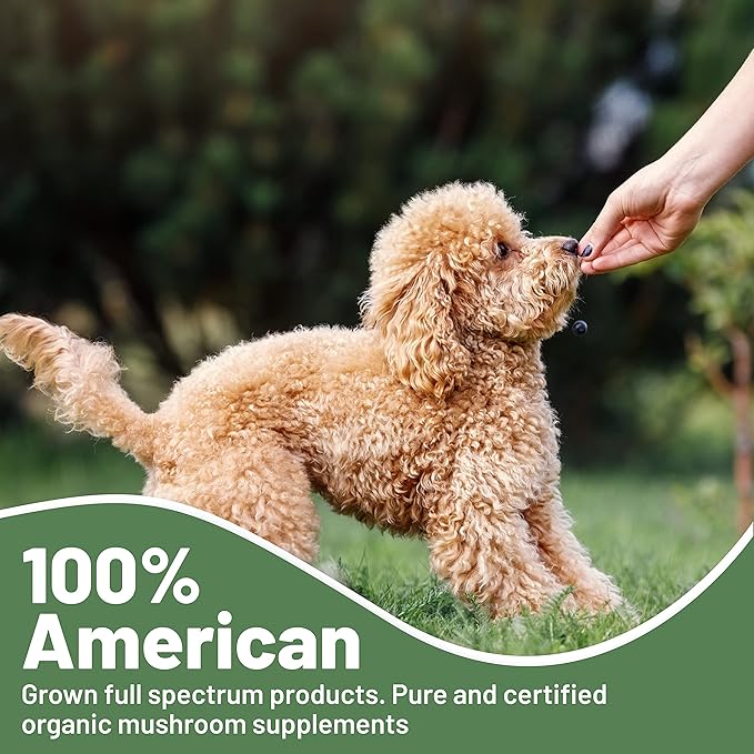 K9 Immunity Plus - Potent Immune Booster for Dogs Under 30 lbs - Certified Organic – Mushroom Enhanced Supplement - Veterinarian Recommended Dog Health Supplement (30 Chews)