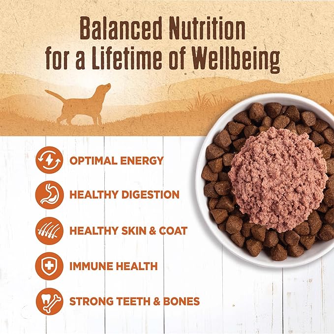 Wellness 95% Turkey Natural Wet Grain Free Canned Dog Food, 13.2-Ounce Can (Pack of 12)