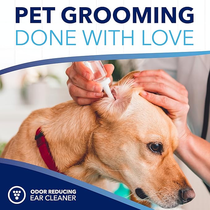 TropiClean Oxymed Cat & Dog Ear Cleaner Solution | Care Solution for Pet Ears | Suitable for Dogs & Cats | 1 Gallon