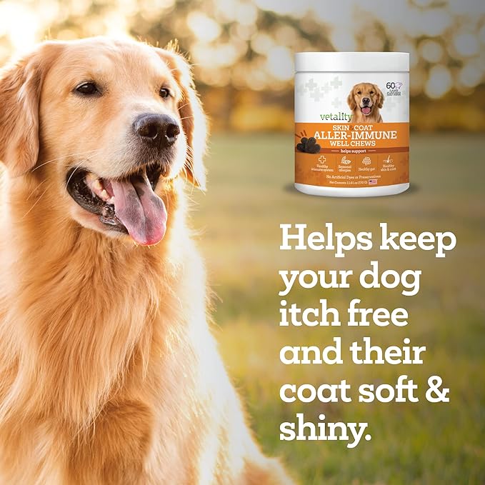 Well Chews | Soft Chew Supplements for Dogs | 60 Count | Made in USA (Skin + Coat)