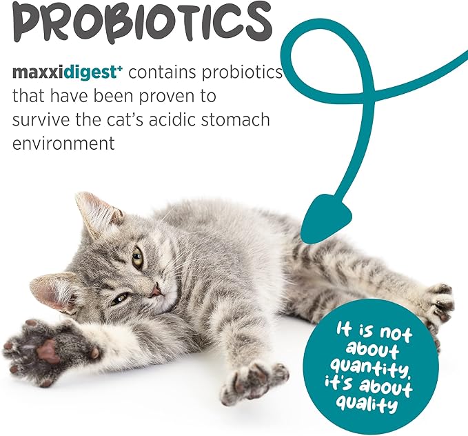 maxxidigest+ Probiotics, Prebiotics and Digestive Enzymes - Digestive and Immune Support Supplement for Cats – 3.2 oz
