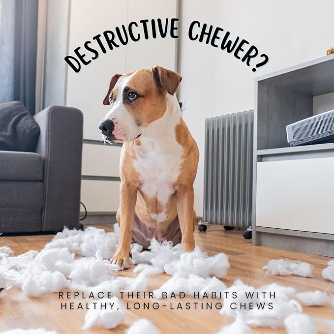 hotspot pets Large Yak Chews for Dogs - Premium Long Lasting Himalayan Dog Chews Bones for Aggressive Chewers - All Natural Rawhide Free Yak Cheese Dog Treats (Large - 6 Pack)