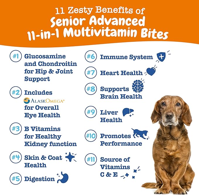 Zesty Paws Multivitamin Treats for Dogs - Glucosamine Chondroitin for Joint Support + Digestive Enzymes & Probiotics - Grain Free Dog Vitamin for Skin & Coat + Immune Health Chicken - Advanced - 60ct