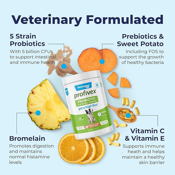 Vetnique Labs Profivex Probiotics for Dogs All Natural Dog Chews & Powder for Digestive Health Probiotic Supplements for Dogs 5 Strains of Probiotics & Prebiotics (Soft Chews, 120ct)