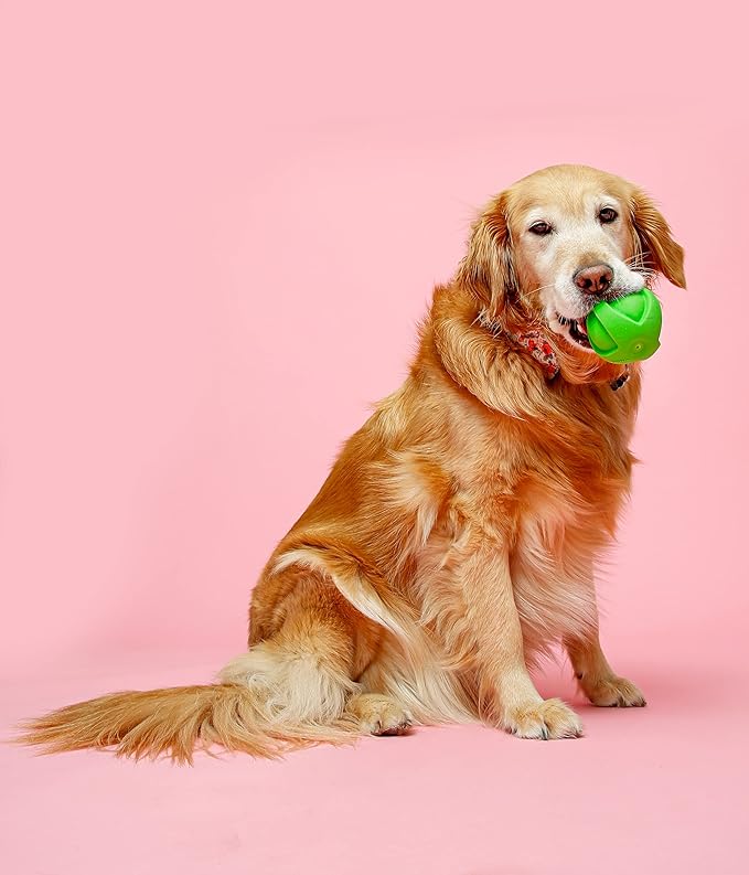 Hartz DuraPlay Bacon Scented Dog Toys, Large 1 Count