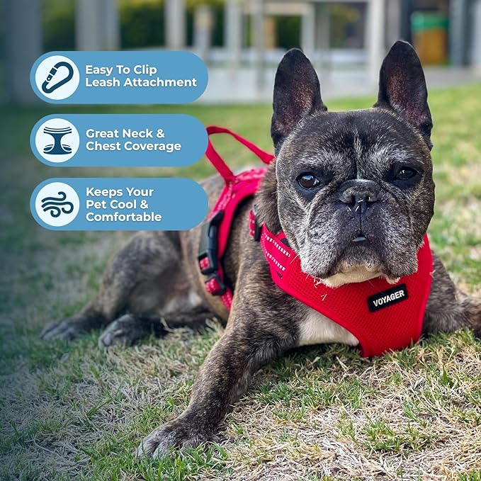 Best Pet Supplies Voyager Adjustable Dog Harness with Reflective Stripes for Walking, Jogging, Heavy-Duty Full Body No Pull Vest with Leash D-Ring, Breathable All-Weather - Harness (Red), XL