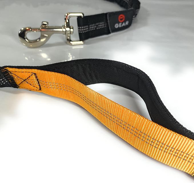 Hands Free Dog Leash with Locking Carabiner | Waterproof Running Dog Leash with Zipper Pouch, Dual Padded Handles and Durable Bungee for Active Dogs and Lifestyles