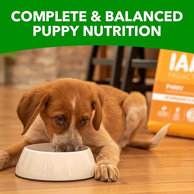 IAMS Smart Puppy Dry Dog Food with Real Chicken, 15 lb. Bag