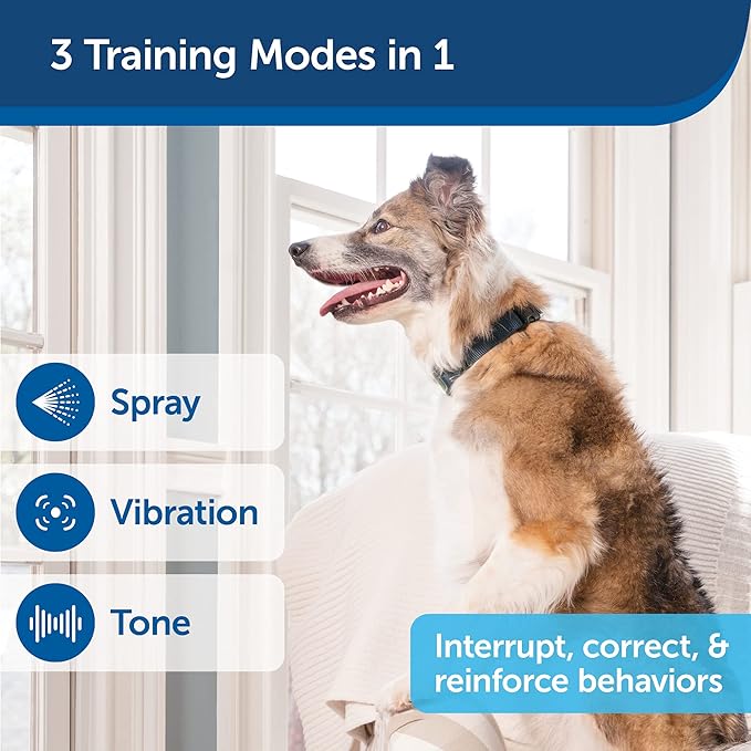 PetSafe Remote Spray Trainer, Add-A-Dog Training Collar - 3 Modes: Tone, Vibration or Spray -Rechargeable and Water-Resistant – Includes Citronella and Unscented Spray Refills & USB Charging Cable