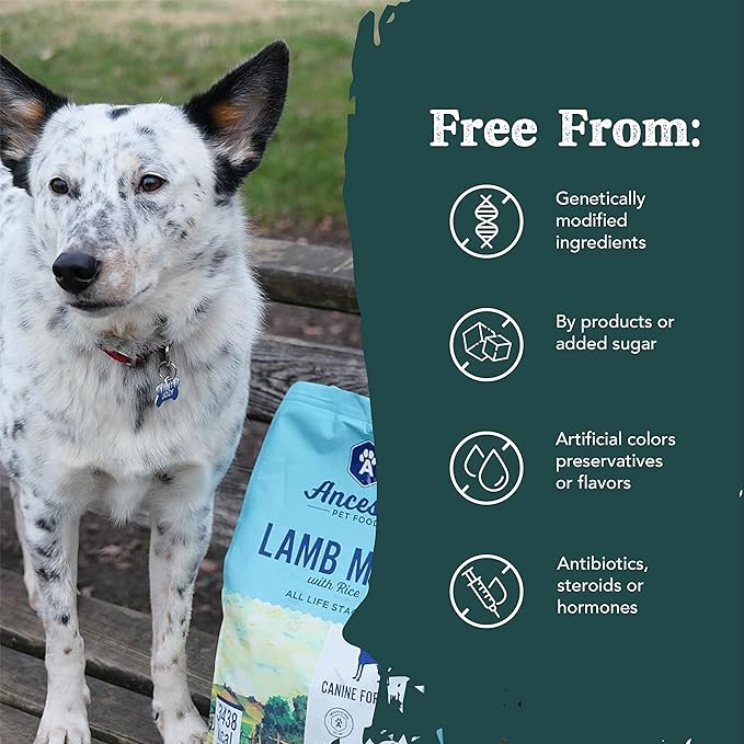 Ancestry Dog Food, Lamb Meal & Brown Rice Formula, Crude Protein, Fiber & Fat, For All Life Stages, Wholesome Grains Dry Dog Food, Support Skin & Coat, Improve Gut Health, Immune Support (12 lb. Bag)