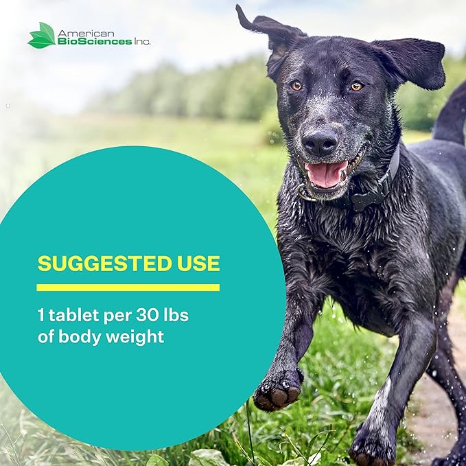 DGP, All-Natural Joint Supplement for Dogs - Joint Support with Turmeric, Boswellia Extract & More - Quick Effect for Immediate Mobility Support - 60 Chewable Pet Tablets