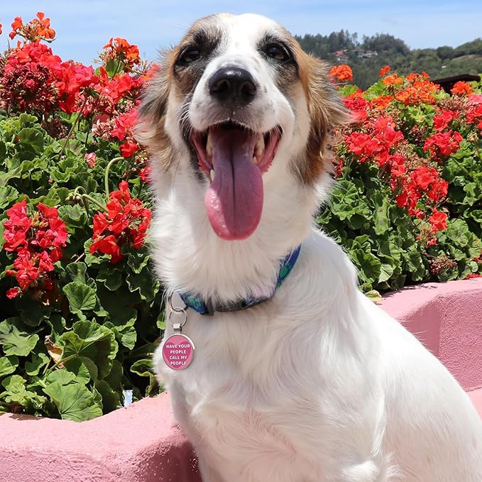 MYLUCKYTAG QR Code Pet ID Tags Dog Tags - Pet Online Profile - Scan QR Receive Instant Pet Location Alert Email