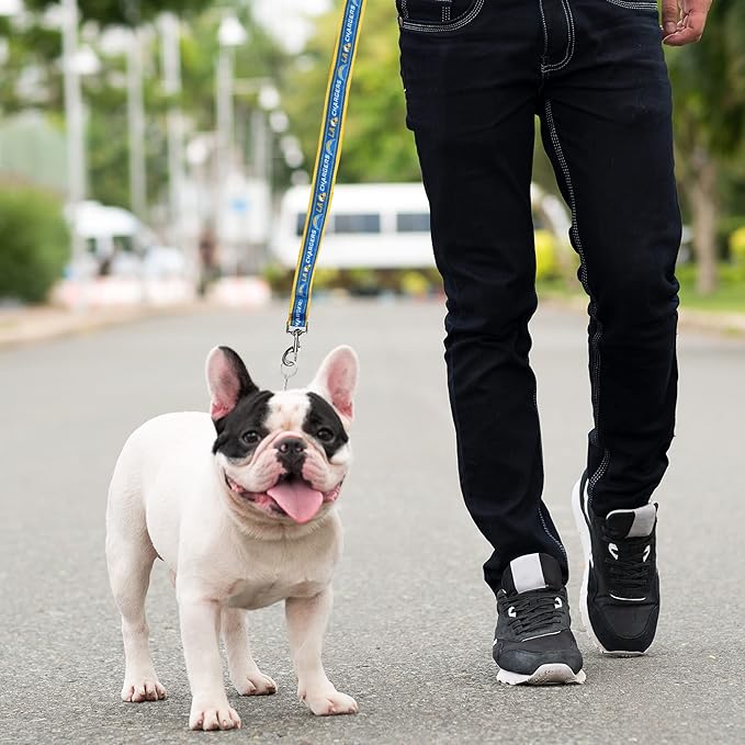 NFL PET Leash Los Angeles Chargers Dog Leash, Medium Football Team Leash for Dogs & Cats. A Shiny & Colorful Cat Leash & Dog Leash Licensed by The NFL