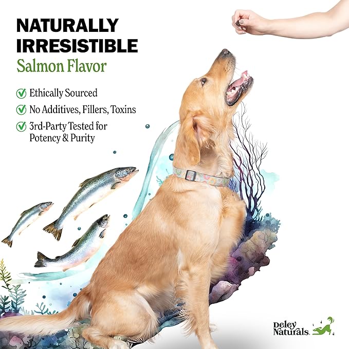 Deley Naturals Omega Skin and Coat Chews, Omega 3 Fish Oil with DHA & EPA, Biotin, Collagen, Vitamins C, E, and Zinc, Supports Shiny Coat, Allergies, Itching, Salmon Flavor, 90 Chews—Made in The USA