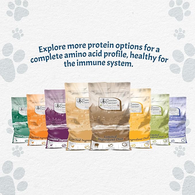 Canine Caviar Wild Ocean Dog Food – Limited Ingredient Alkaline Holistic Dog Food – All Life Stages – Gluten Free, Ultra-Premium Dog Food – Healthy Skin & Coat – Herring & Quinoa – 11 lbs