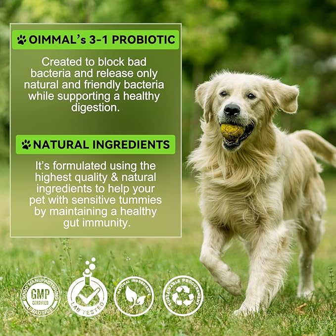 Probiotics for Dogs,3-in-1 Dog Probiotics,Dog Probiotics for Digestive Support, Dog Probiotic Supplements,Pet Probiotics for Dogs, Liquid Probiotics for Dogs | 2 Oz